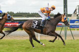 Weaponry (NZ) claims the Listed ILT Ascot Park Hotel Southland Guineas. Photo: Wild Range Photography